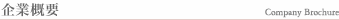 ��ƊT�v